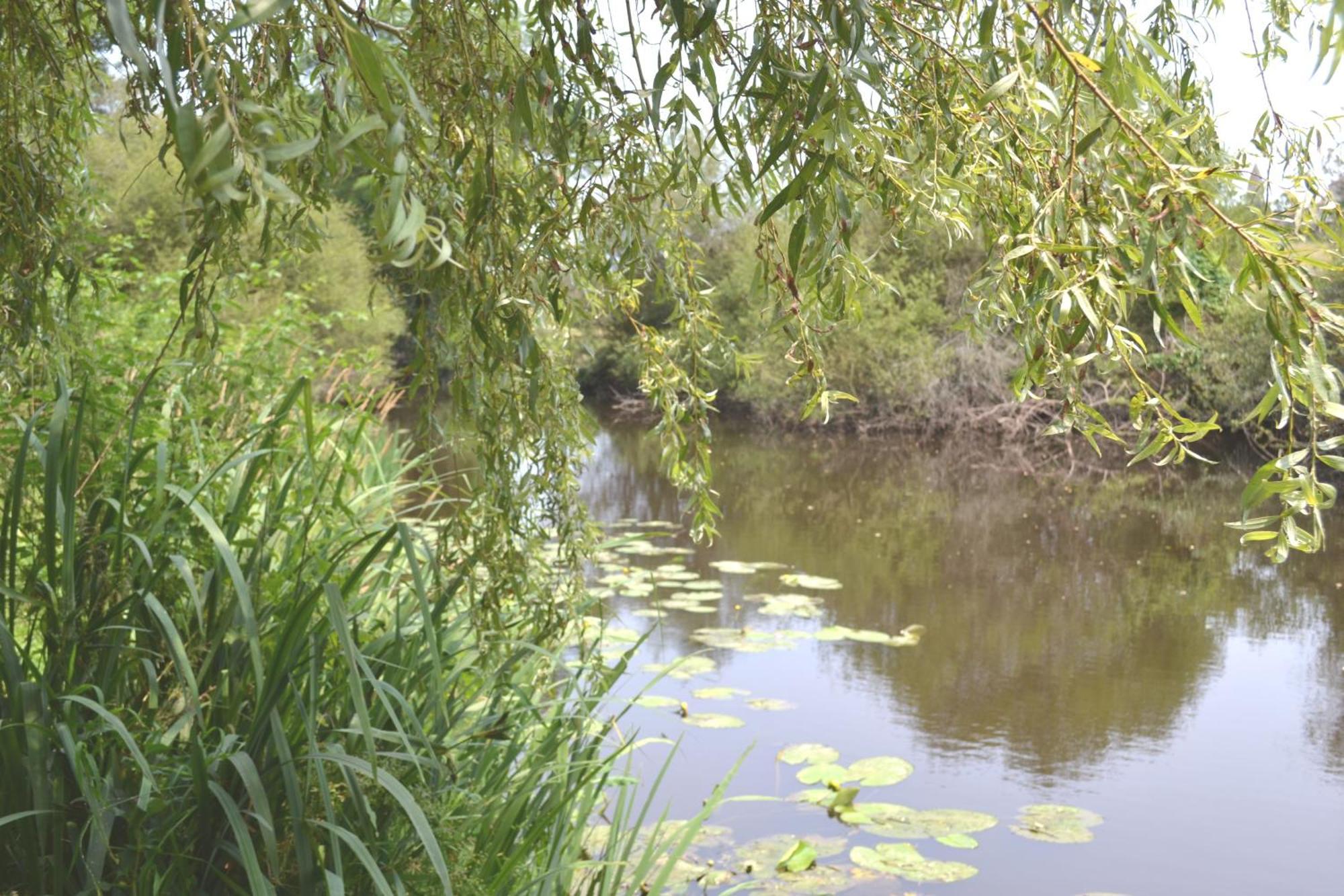 Les Bruyeres B&B Montbron Zewnętrze zdjęcie