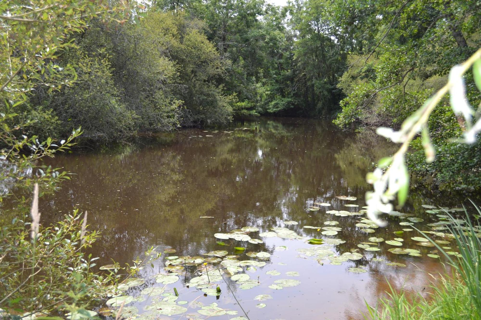 Les Bruyeres B&B Montbron Zewnętrze zdjęcie